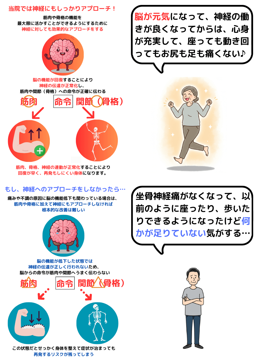 脳の機能が回復すれば神経、骨格、筋肉のポテンシャルが最大限発揮される
